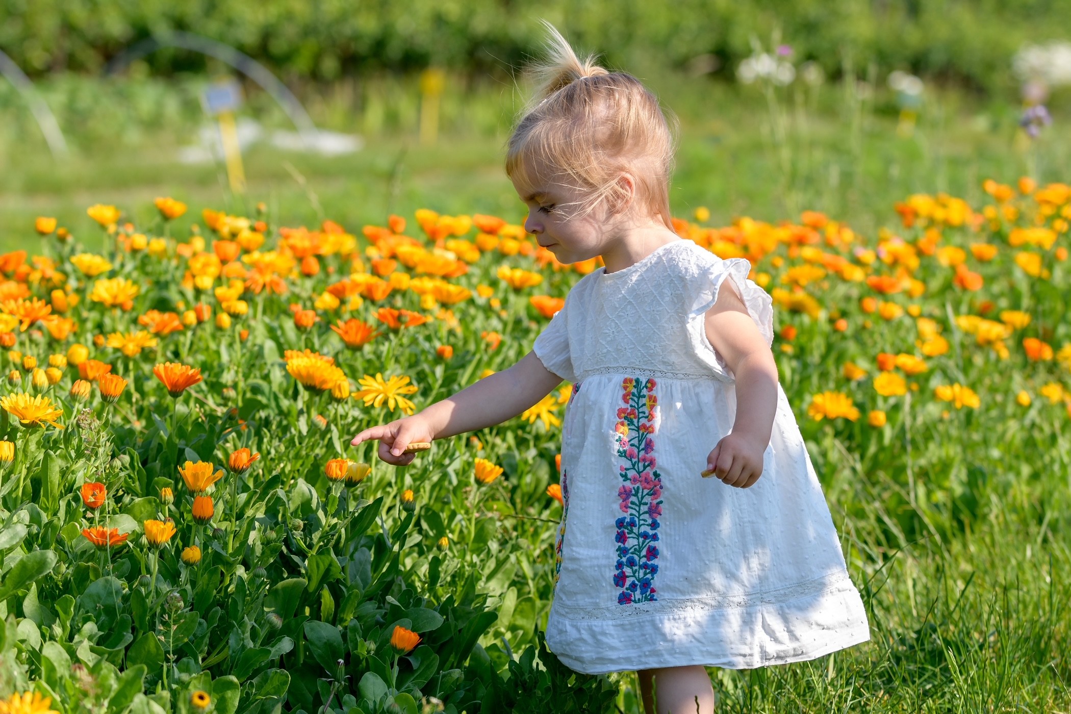 Natuurlijk verantwoord tuinieren