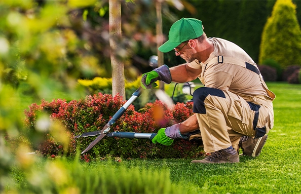 Professionele tuinproducten voor bedrijven